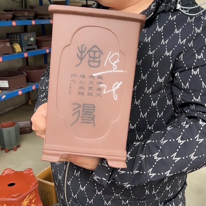 花盆紫砂这是什么神仙