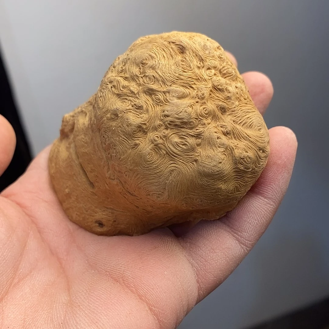 荔枝木鹏荔枝木切园