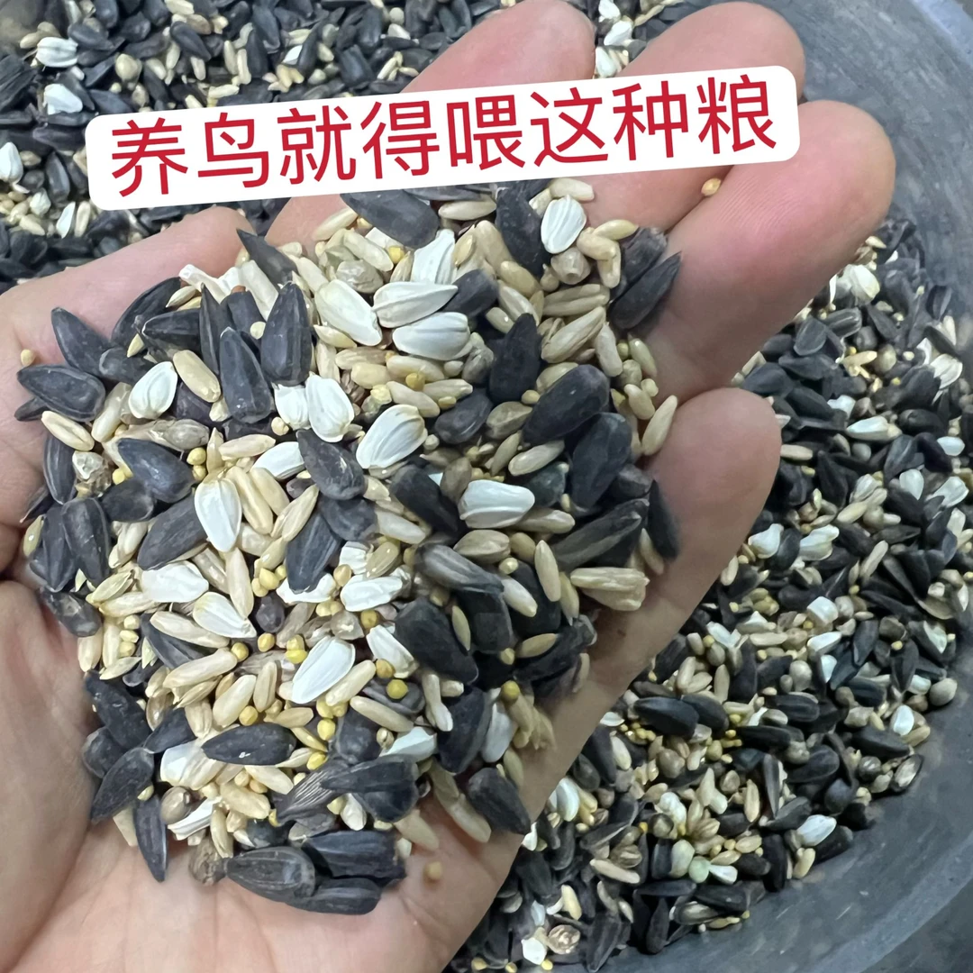 2025新粮玄凤小太阳鹦鹉混合谷子粮等雀类粮食