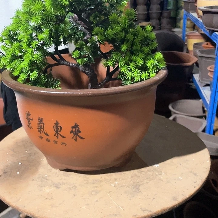 30紫气东来花盆花盆