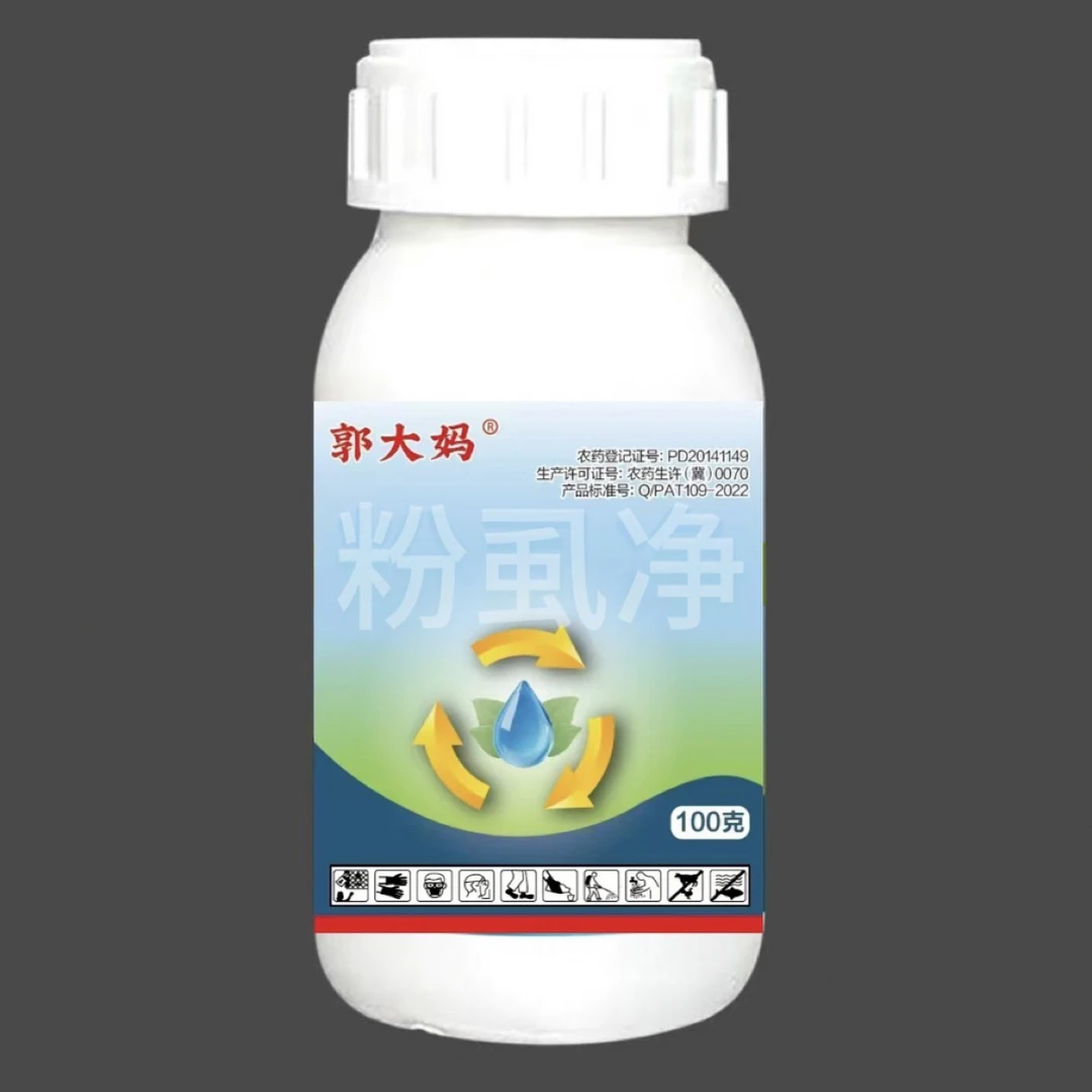 白粉虱郭大妈粉虱净联苯菊酯虫卵齐打持效期长成虫卵幼虫