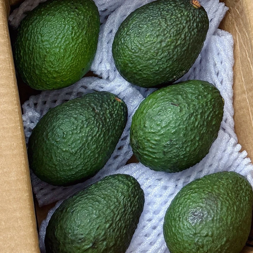 170-200g(6颗装）  新鲜采摘云南牛油果当季水果适合孕妈宝宝辅食