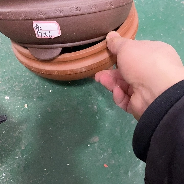 紫砂花盆今天下午