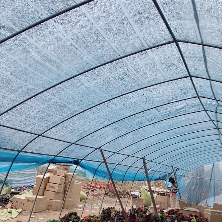 黑***使发货发货发货发货哈