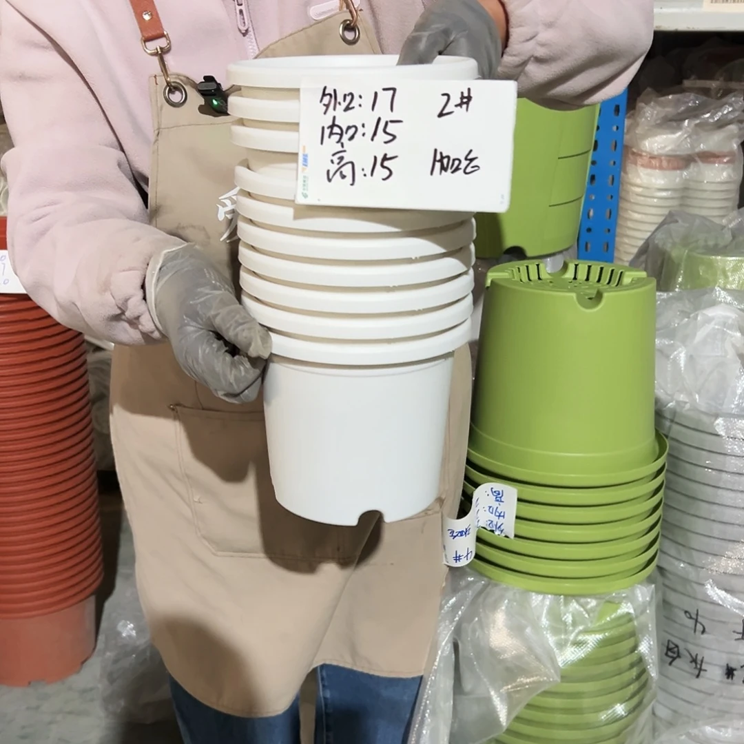 四季盆2#白色10个无托