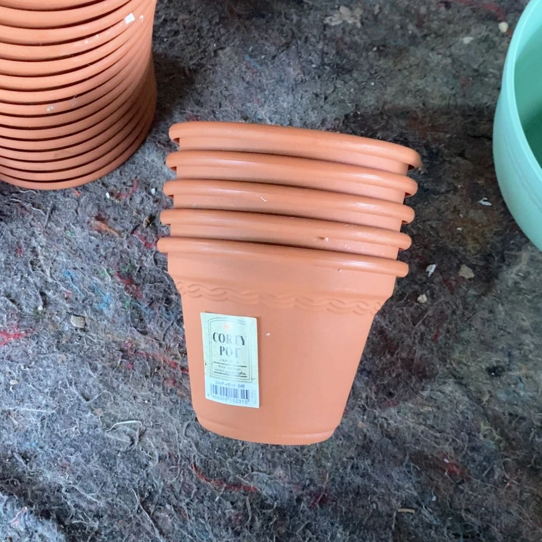 15口蛋糕茶色5个无托