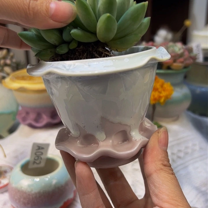 景德镇陶瓷研究所