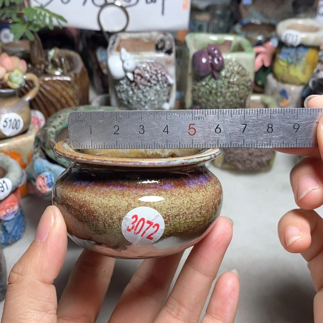 拍5送一个小礼物