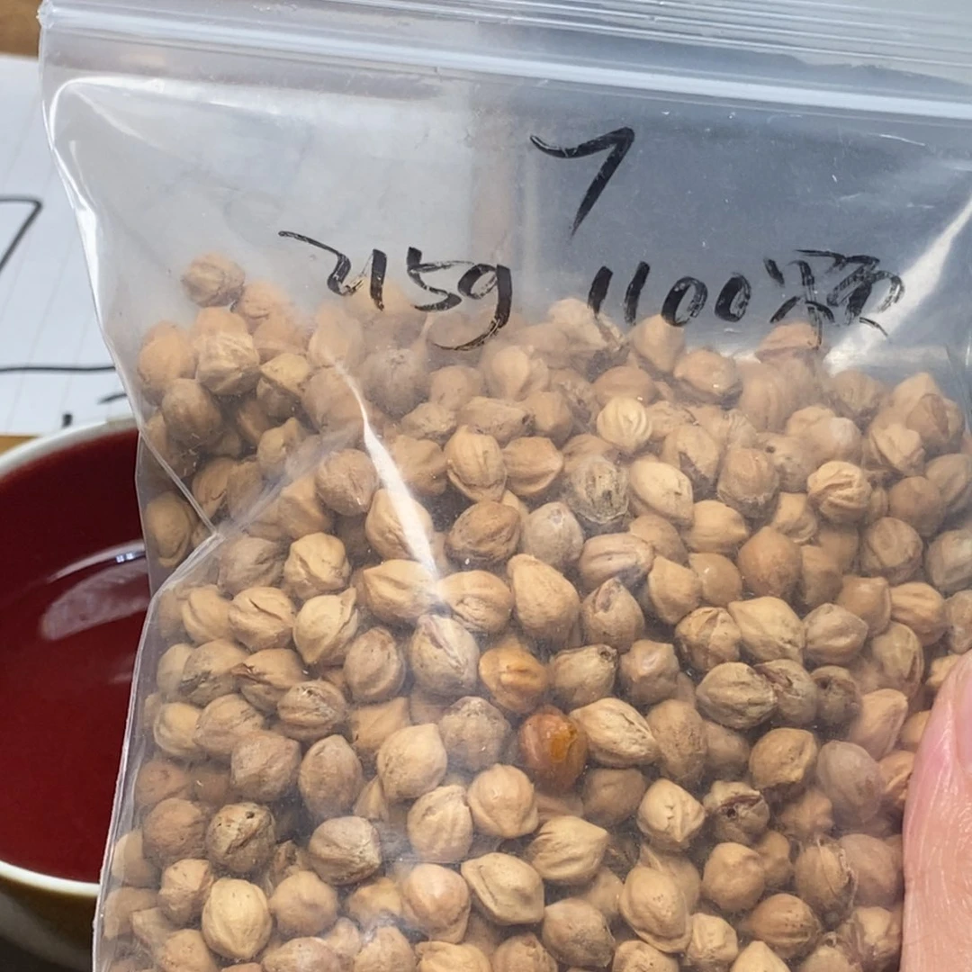 柏香籽/百香籽吊坠