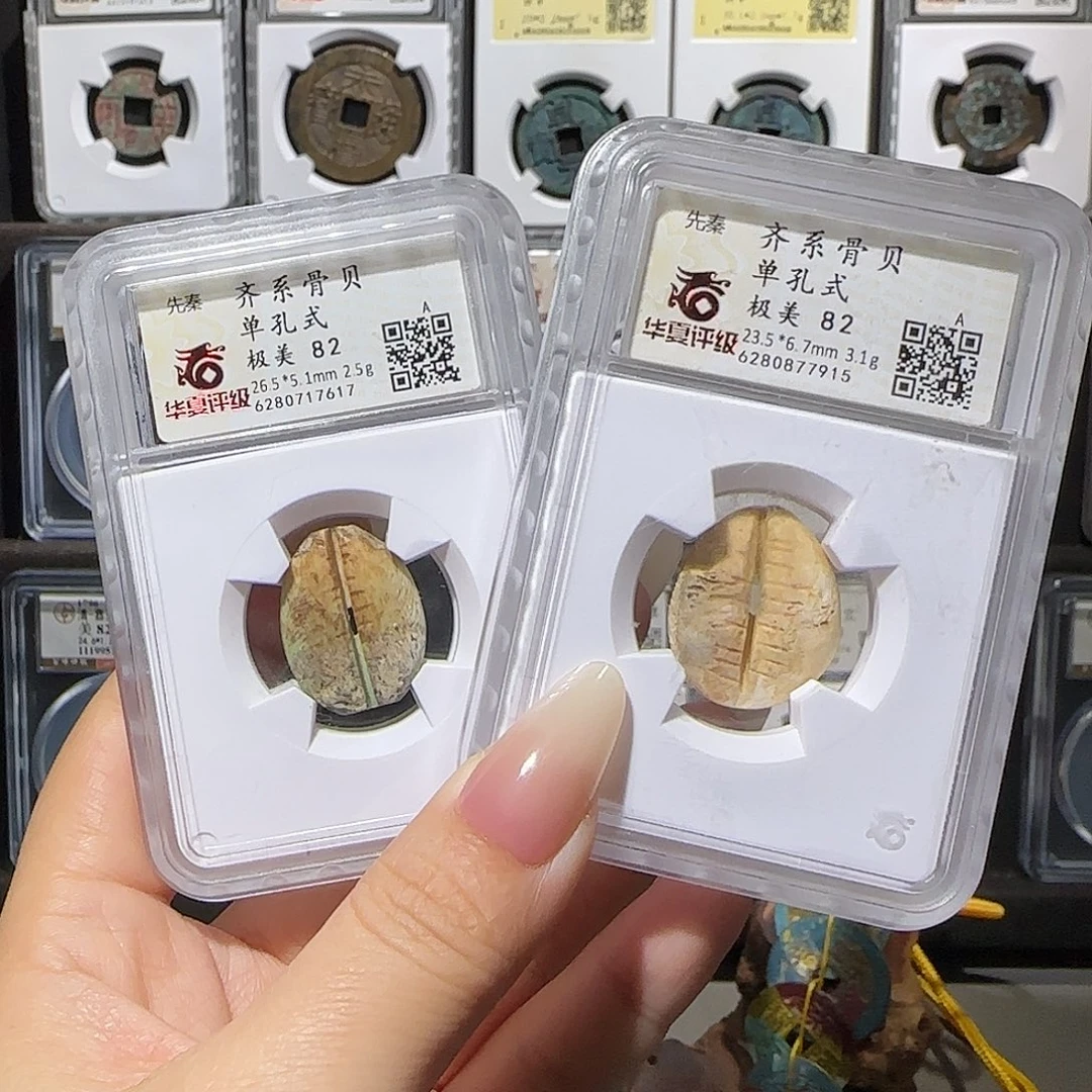 铜骨贝58一个99一对。。。。。5#