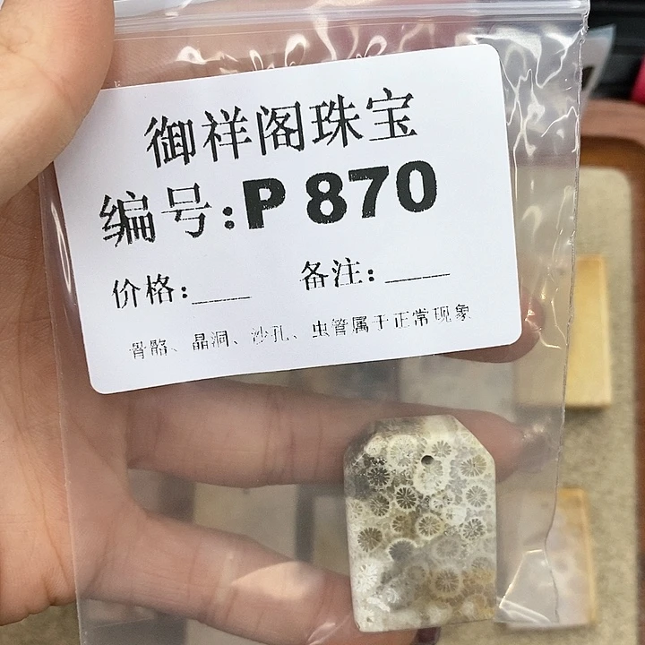 硅化珊瑚（珊瑚玉）P未镶嵌想****腿