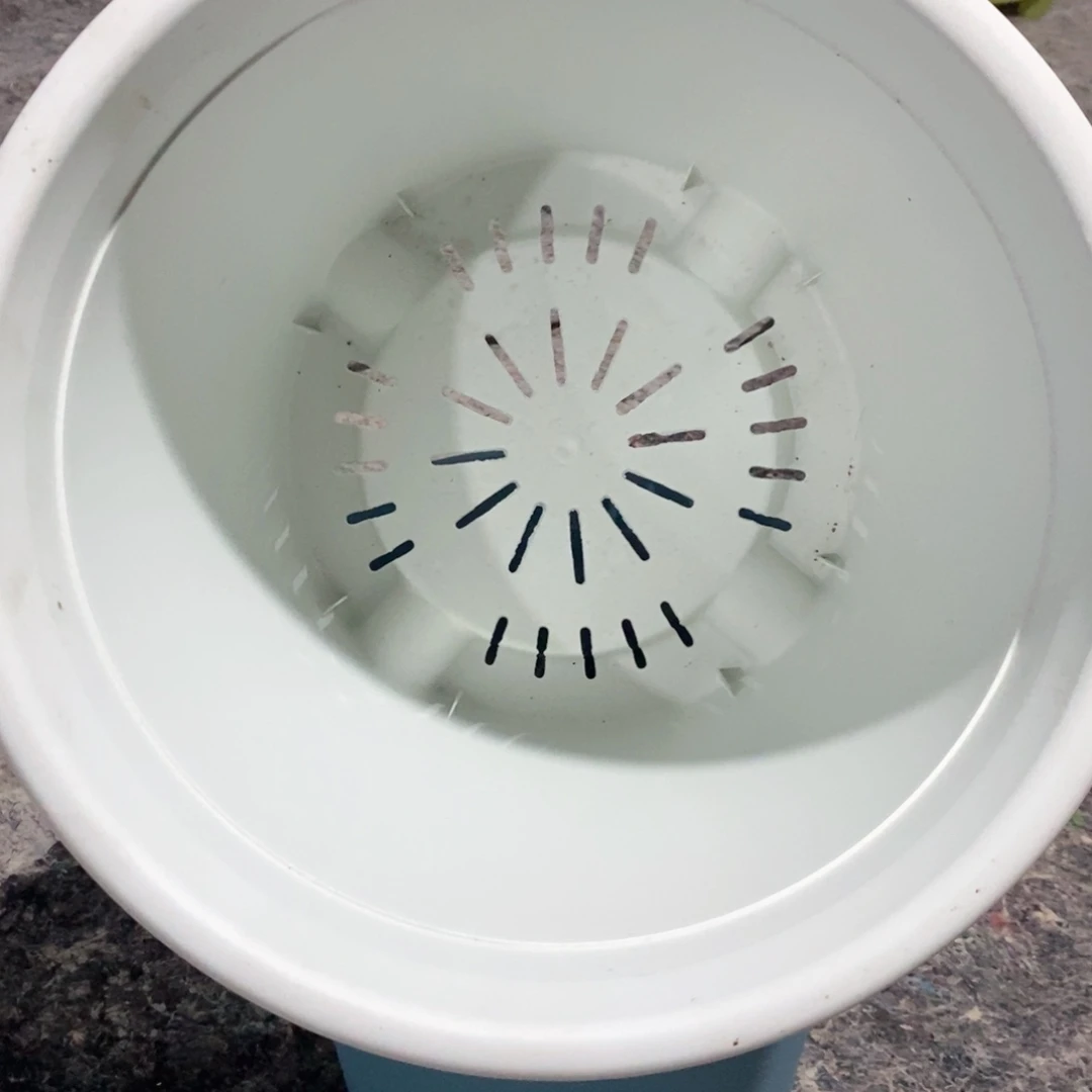 4个32口奶白无托伊特