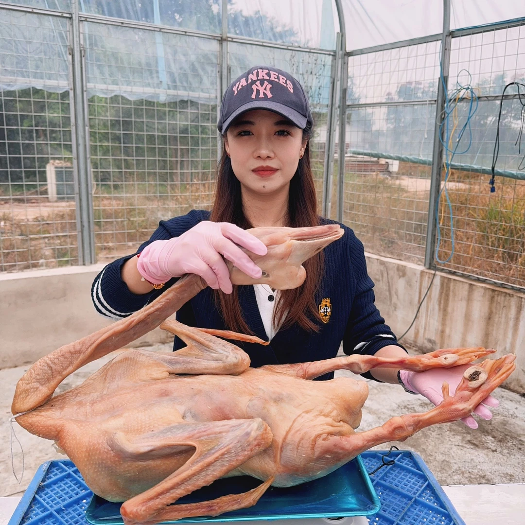 【鹅屁股鹅皮】溧阳周城咸鹅剁块风干纯手工腌制土特产