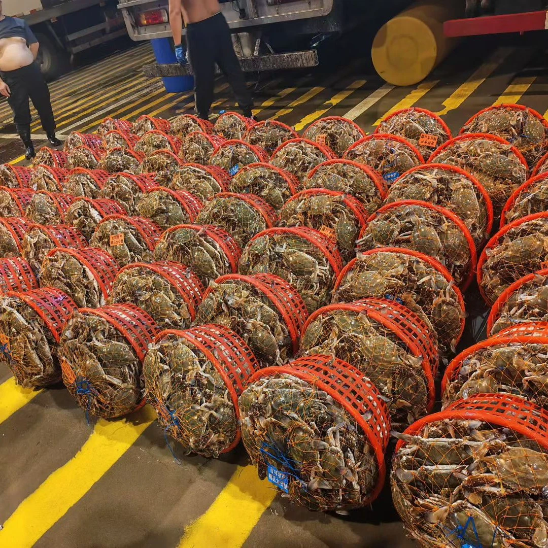 二号链接（保鲜不保活）