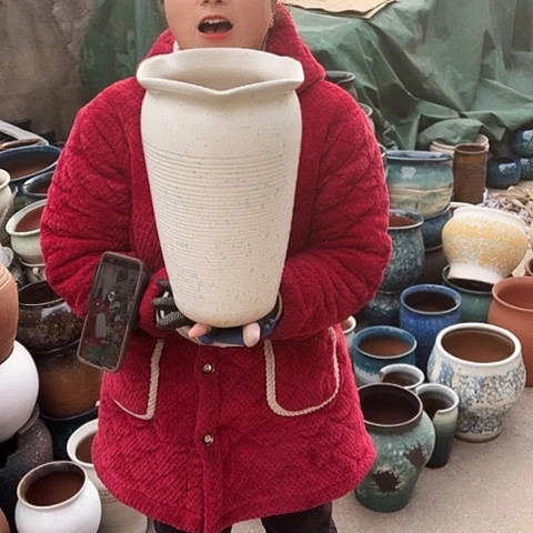 口20高33盆子盆子。
