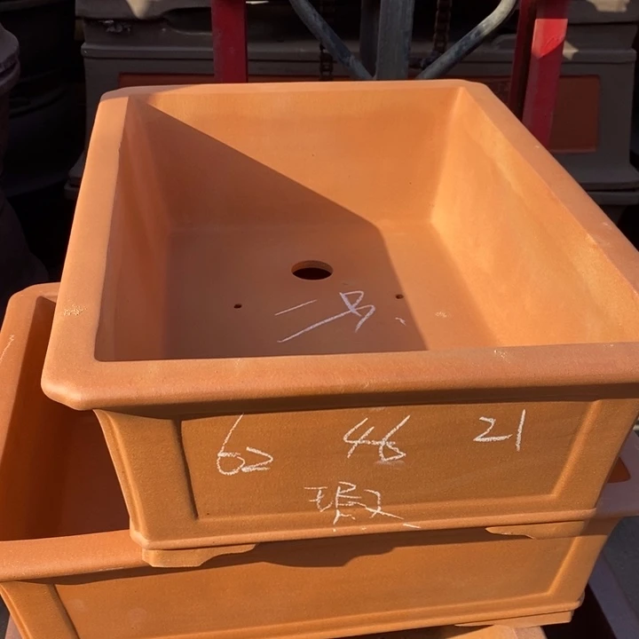 紫砂花盆只顾吃药睡一