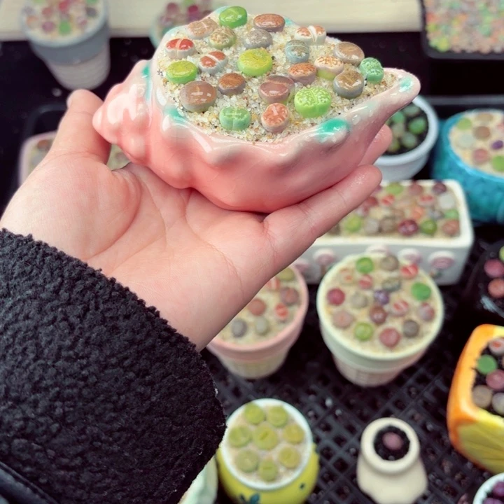 593零下地区记得拍包保温箱满18包邮