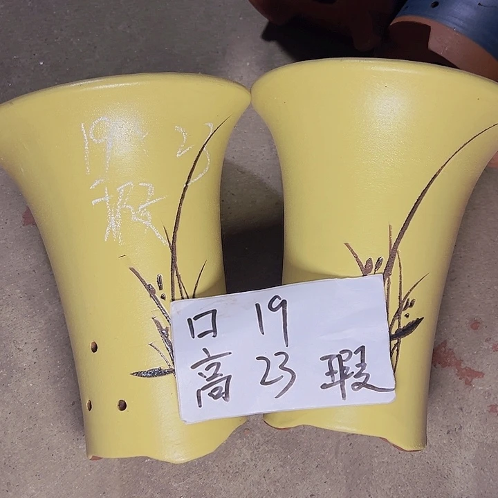 紫砂紫砂紫砂紫砂紫砂紫砂