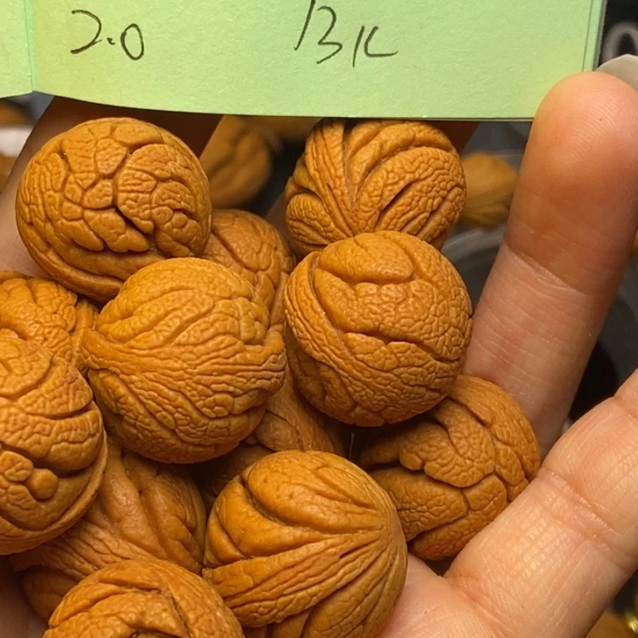 手串文玩核桃秦岭龙纹桃核20