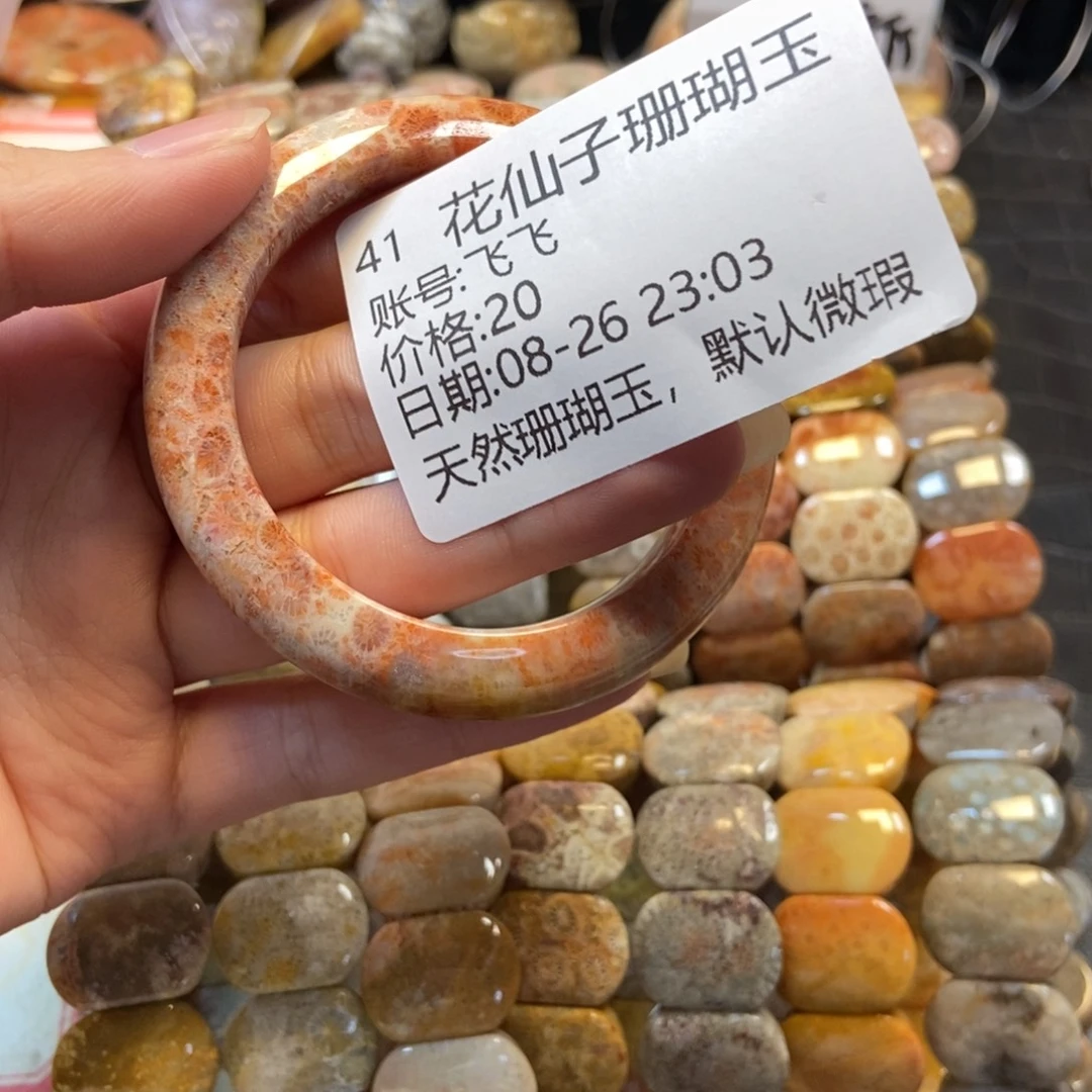 飞***飞未镶嵌硅化珊瑚（珊瑚玉）珠宝半成品41