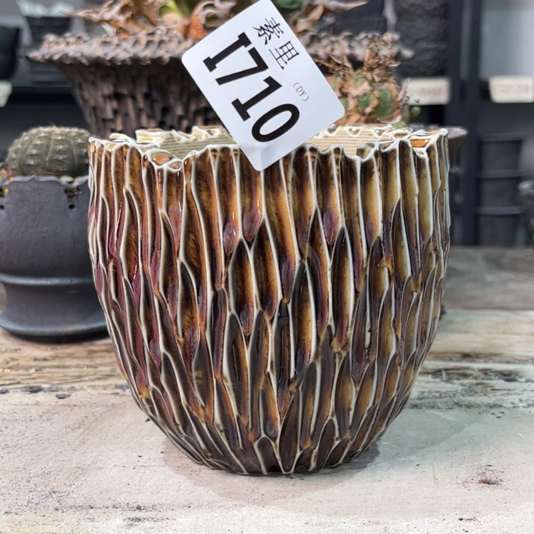 陶内口10高10.5景德镇