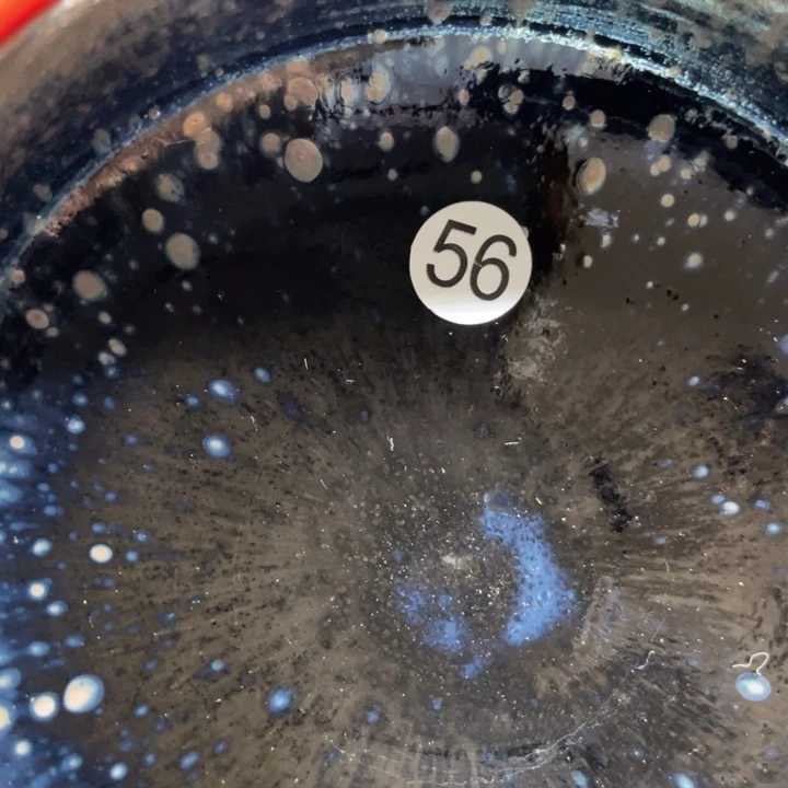 茶盏666666666666666666