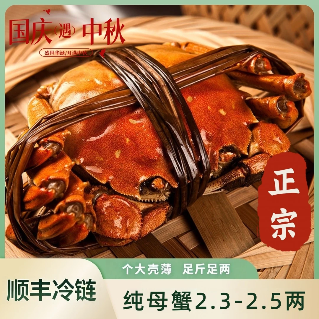 【活蟹】大闸蟹 纯母蟹2.3-2.5两10只装 顺丰冷链包邮