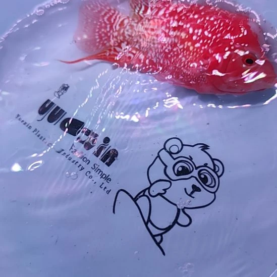 罗汉鱼二楼鱼！！！！！！！