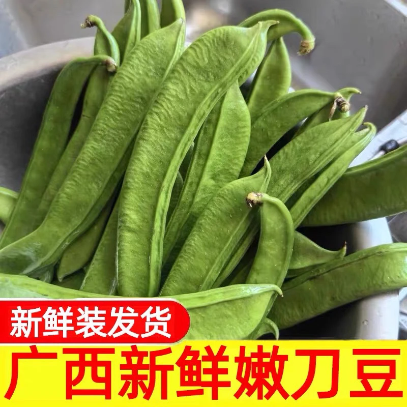 刀豆新鲜嫩刀芭豆广西现摘蔬菜扁豆大巴豆角当季整箱包邮大虫豆