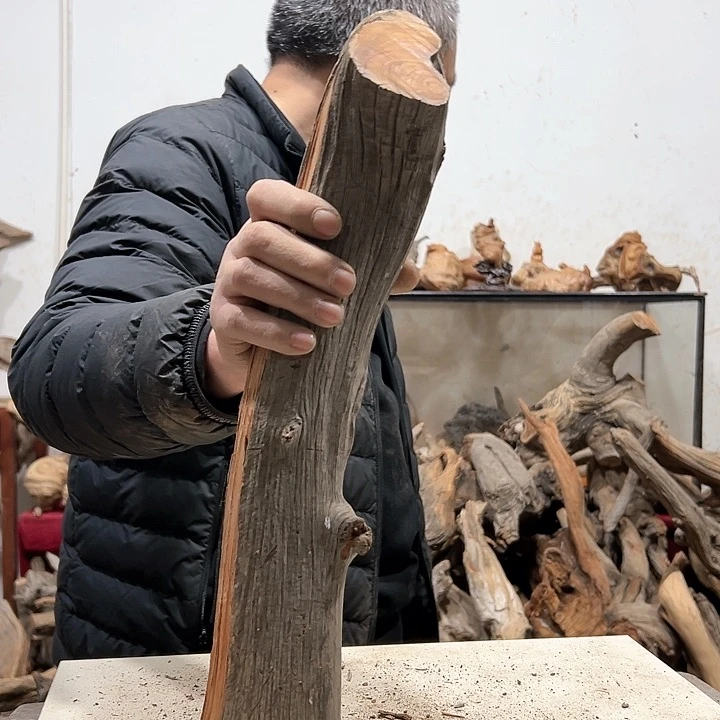 柏木柏*我们的生活也是