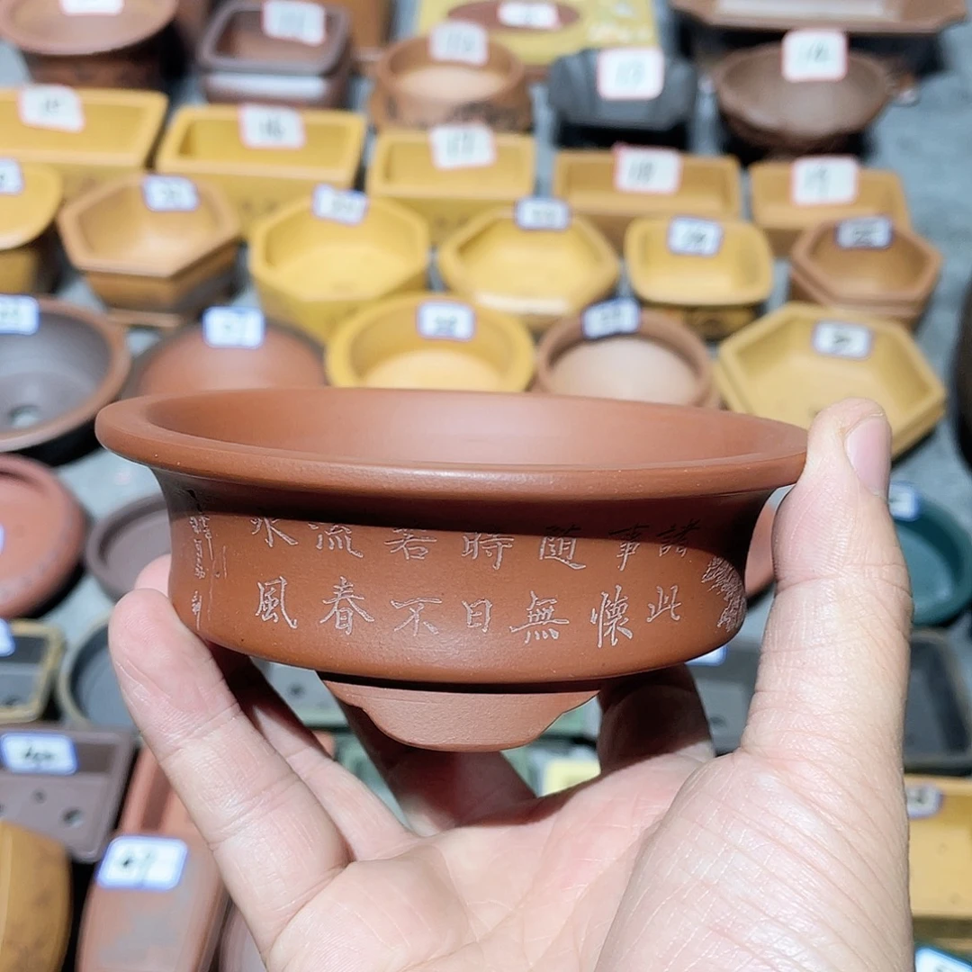 紫砂小盆10*3cmmmmm