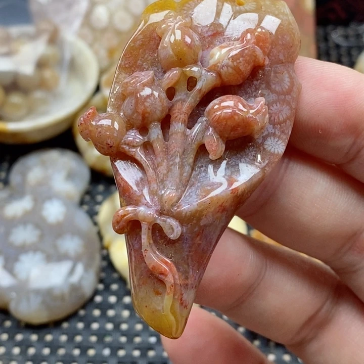 硅化珊瑚（珊瑚玉）颈饰未镶嵌