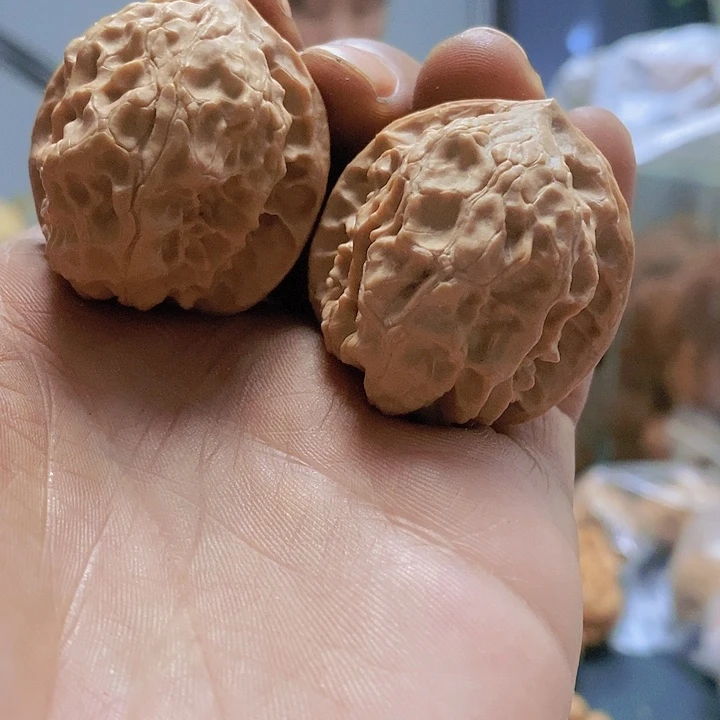 【闪购商品】把件文玩核桃34.5白蛇谷小众