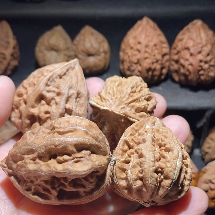 文玩核桃把件默东北楸子6