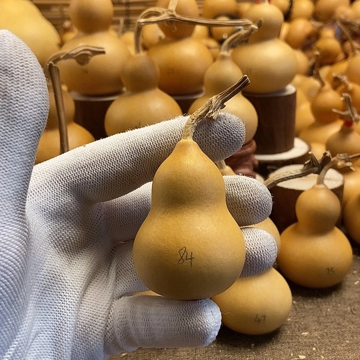 文玩葫芦 完美主义者 慎拍84