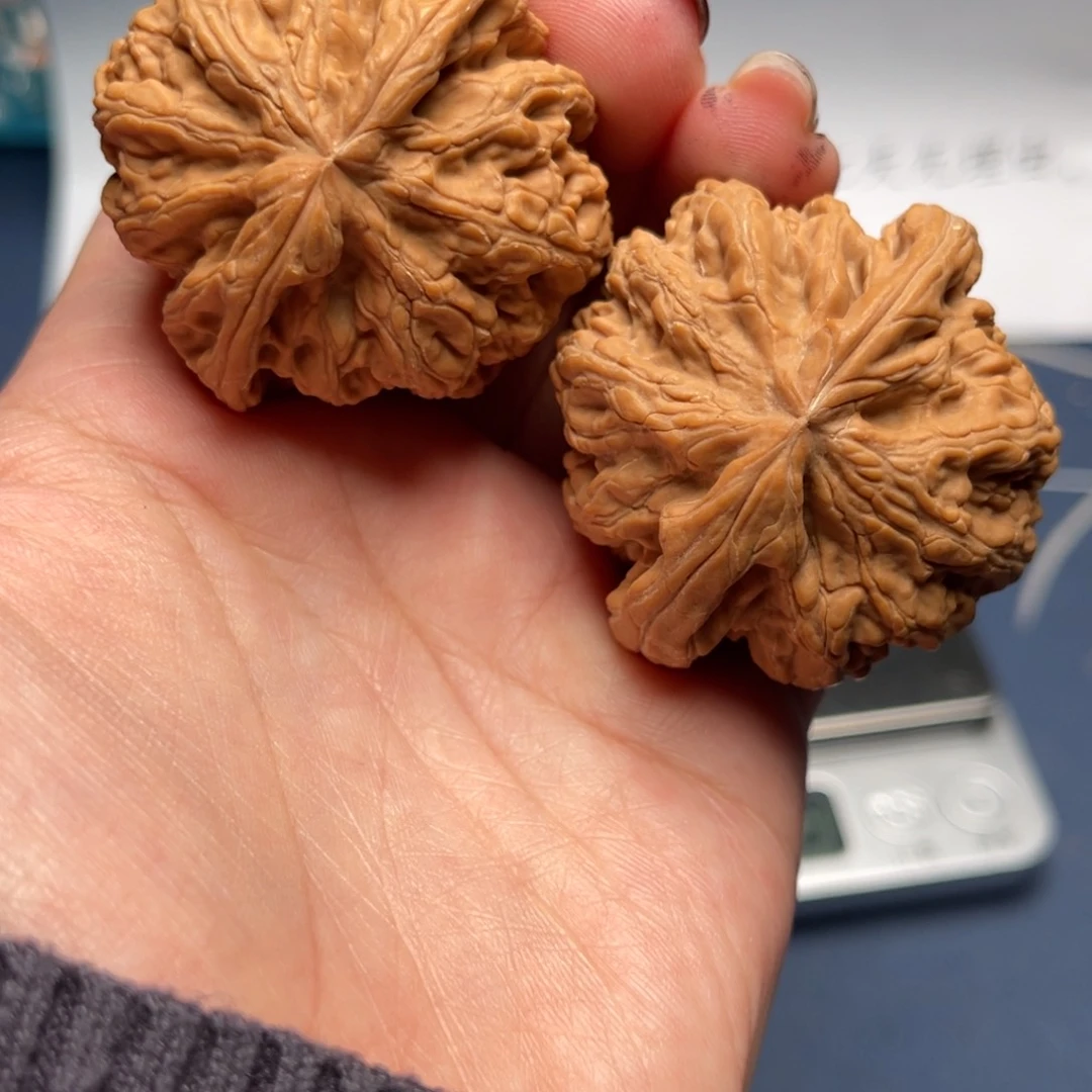 文玩核桃把件粗筋44