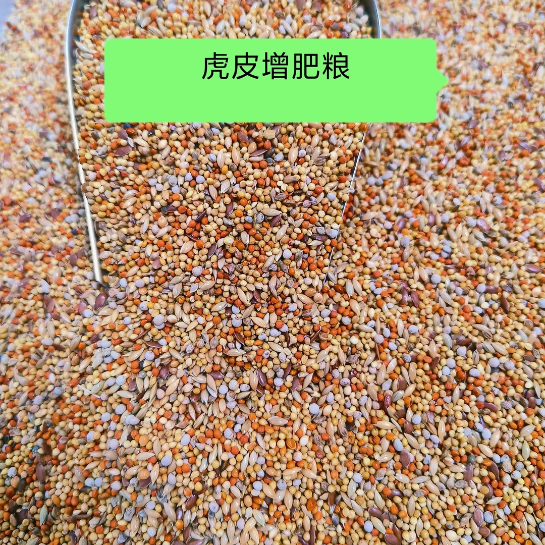 虎皮鹦鹉【增肥亮羽】营养混合鸟粮现配现装配比可调整