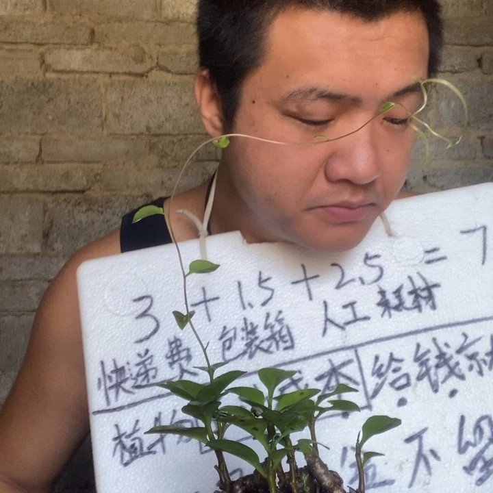 退款拉黑一物一拍106