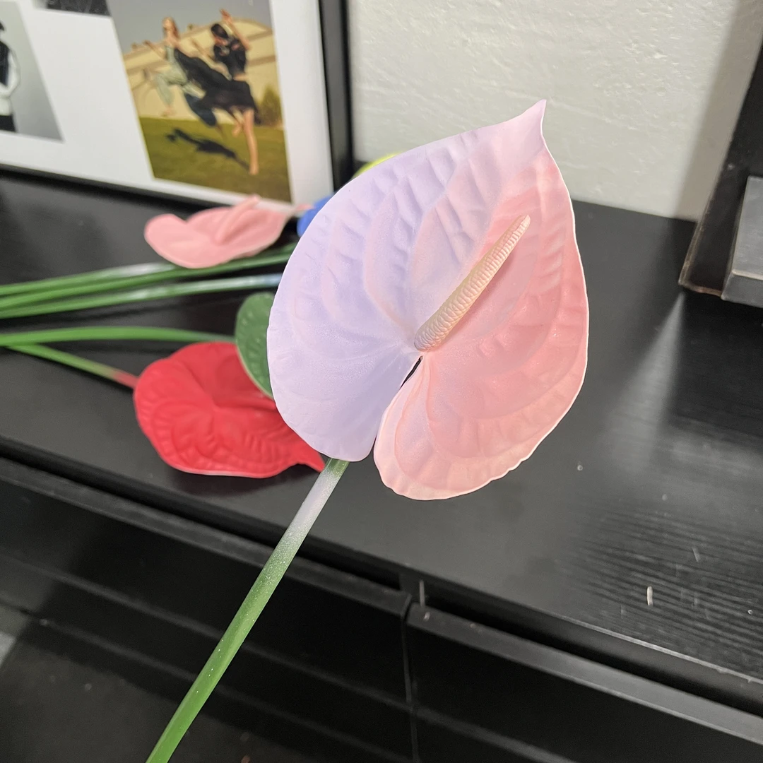 【大丽自用】高度仿真花白色3D仿真掌可喷色花店花束专用