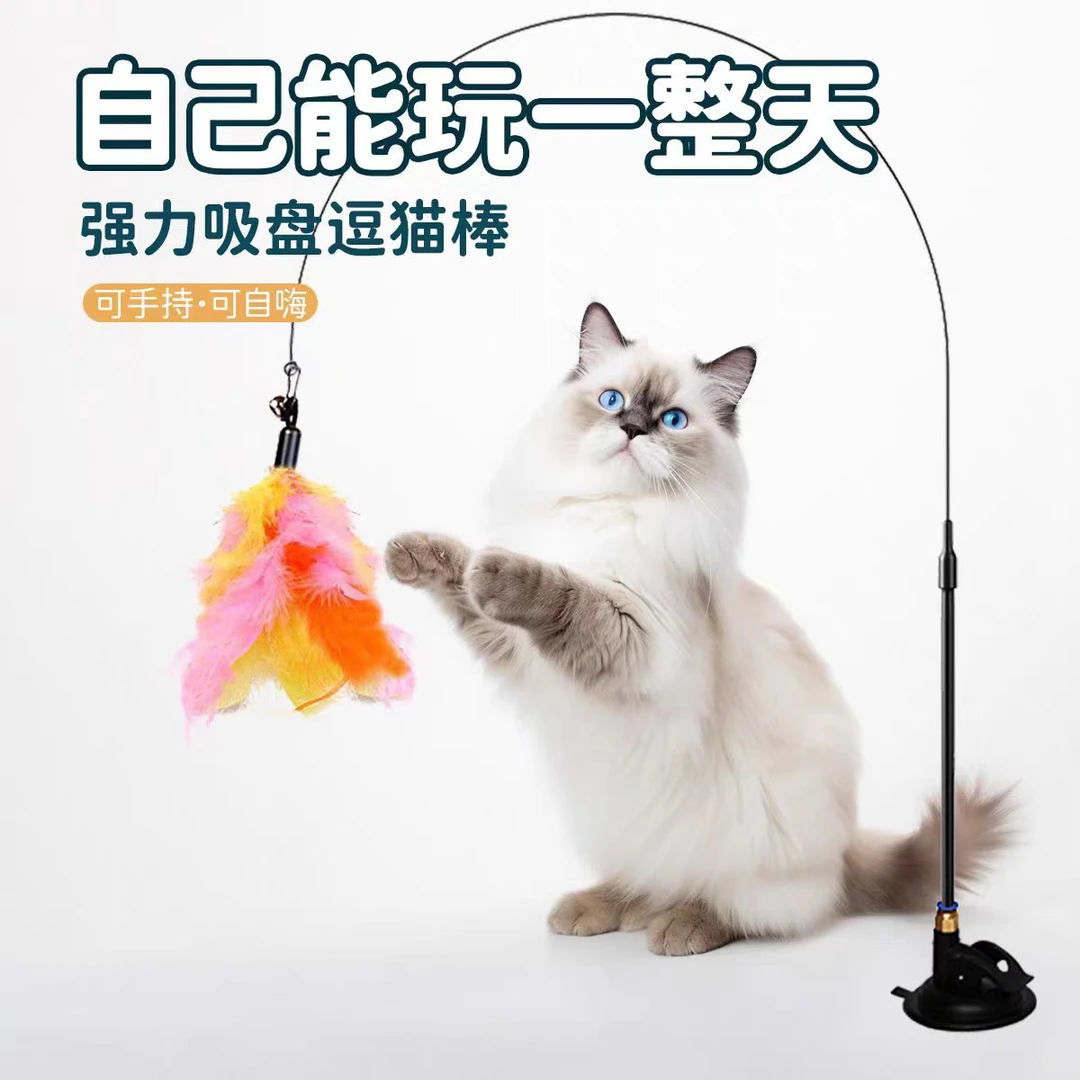 【吸盘逗猫棒】小毛豆归真猫粮新手养猫入门宠物必备物品逗猫棒