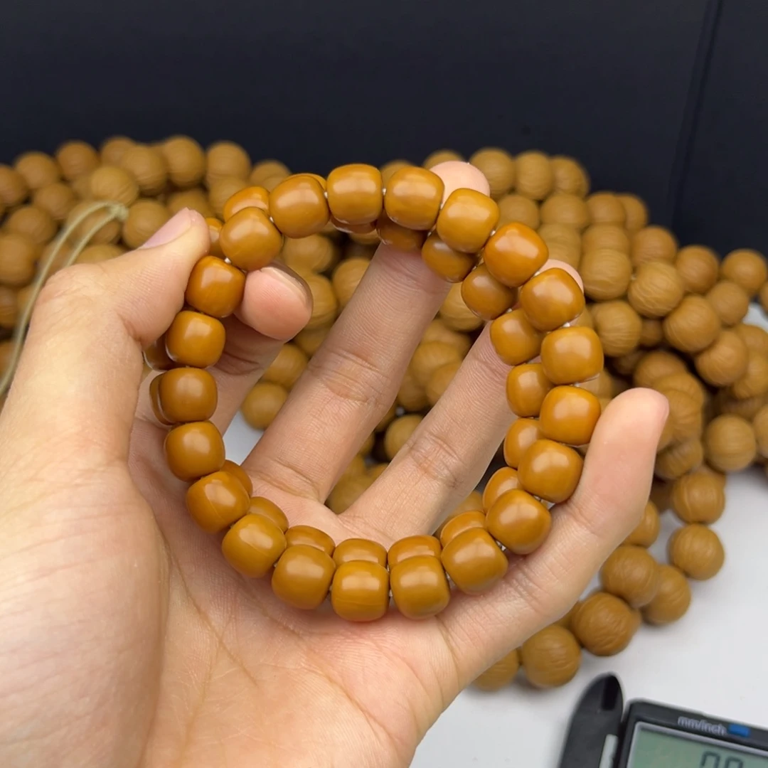 猴头老邢广珠ghffhhvbjj