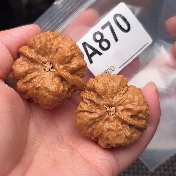 把件桃核蛤蟆头39