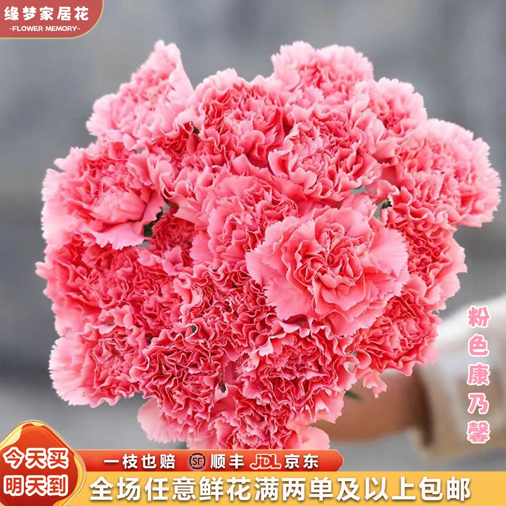 特价粉钻『粉色康乃馨10枝』粉色小香风 全场任意满两单鲜花顺丰京东包邮 三单鲜花送玻璃花瓶鲜花直播次日达