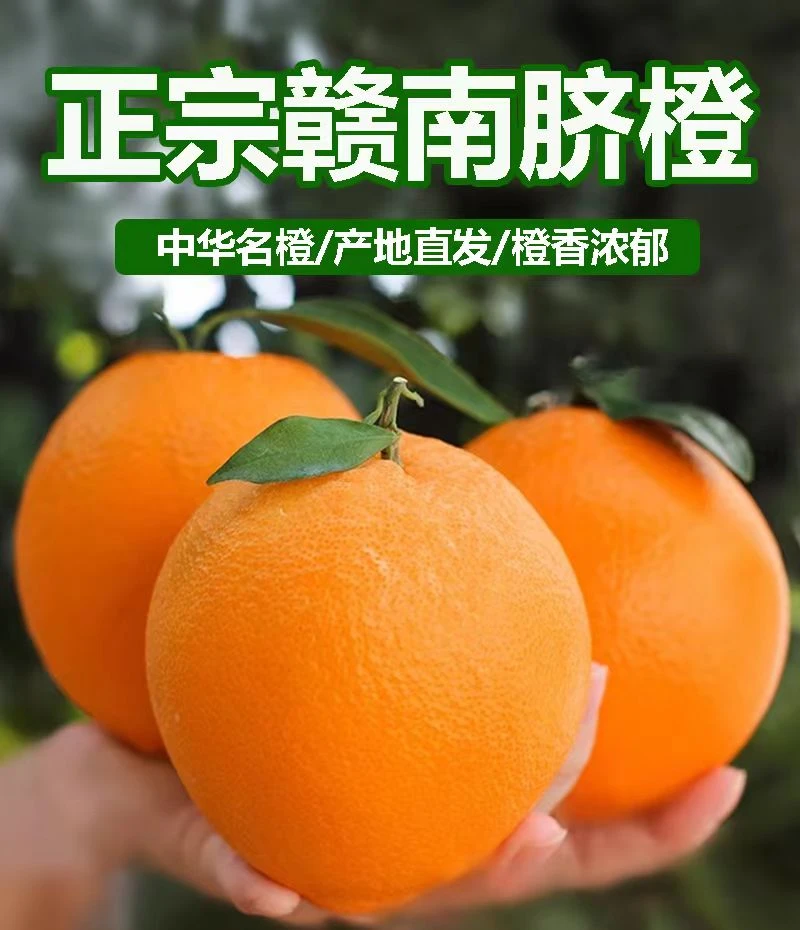 正宗赣南脐橙优质新鲜现摘当季水果产地直发橙子优质水果特产
