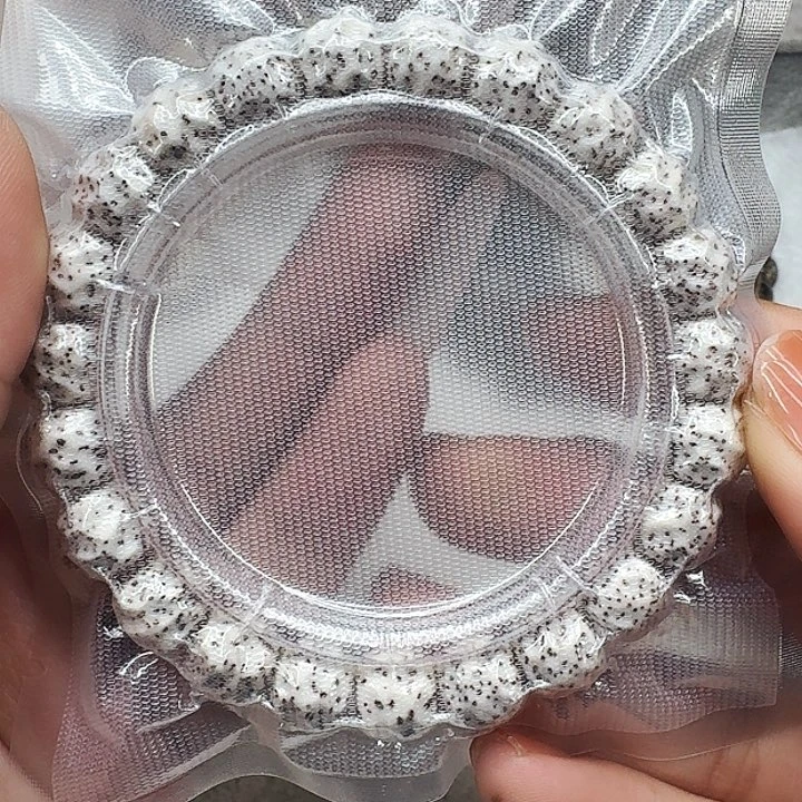 星月菩提手串306卓越白星月菩提无相10单圈