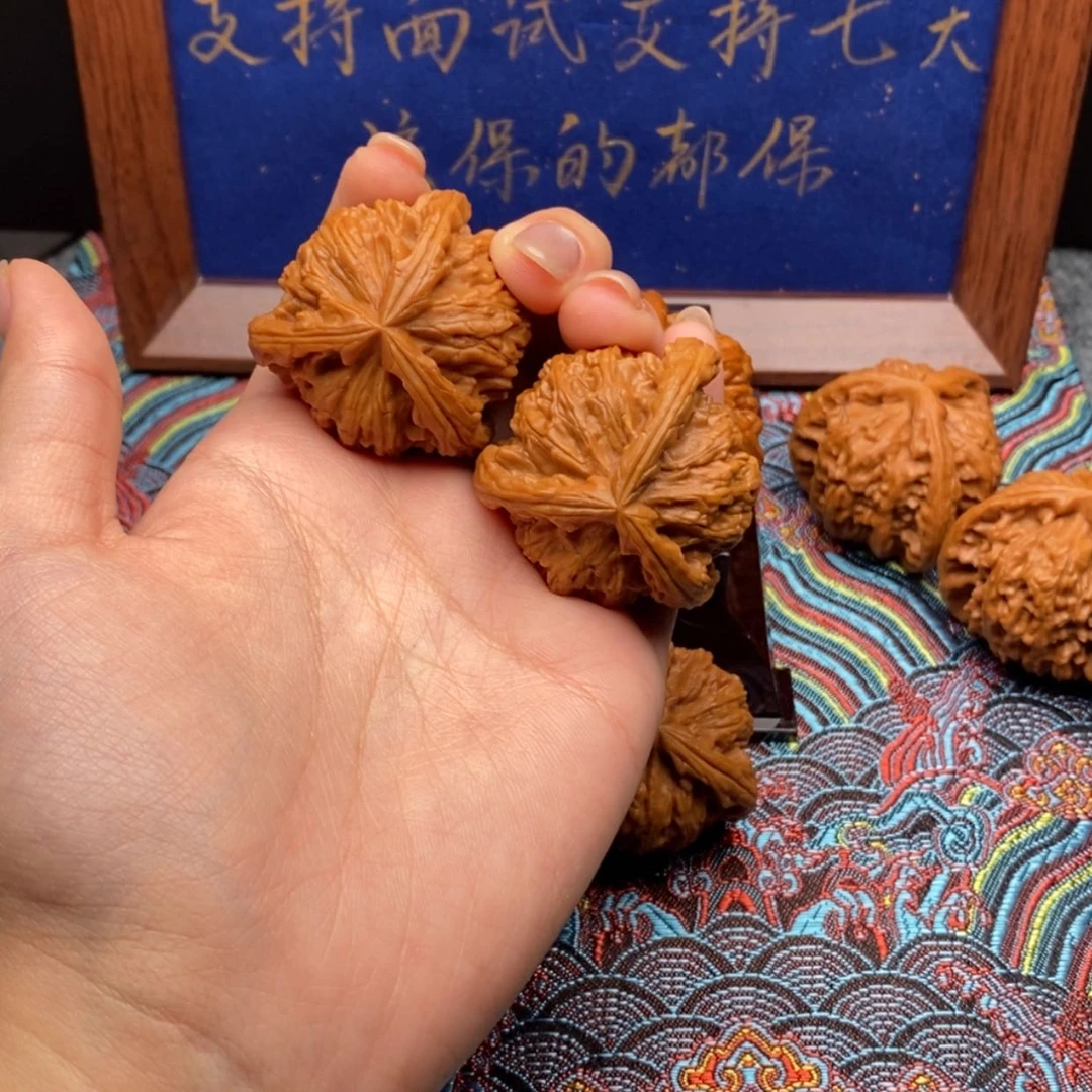 【闪购商品】邵*白狮子111111111