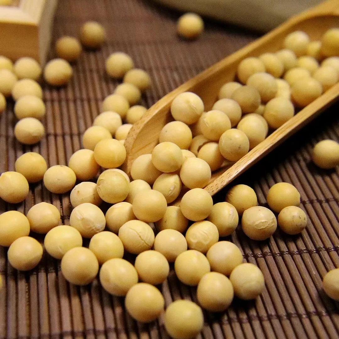 长白山黄豆，农家种植黄豆