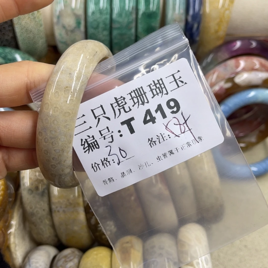 喜***理硅化珊瑚（珊瑚玉）未镶嵌h