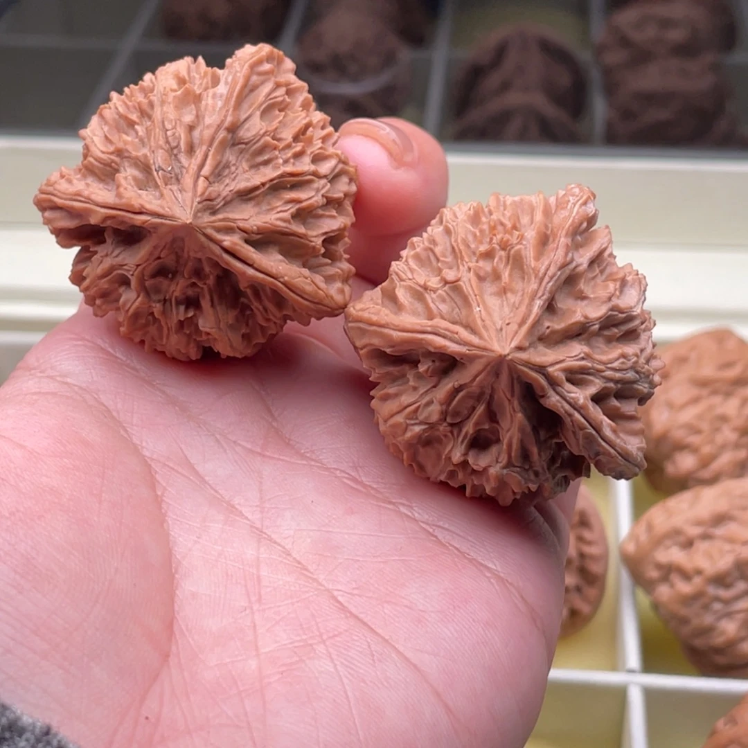 核桃李血超三棱文玩核桃