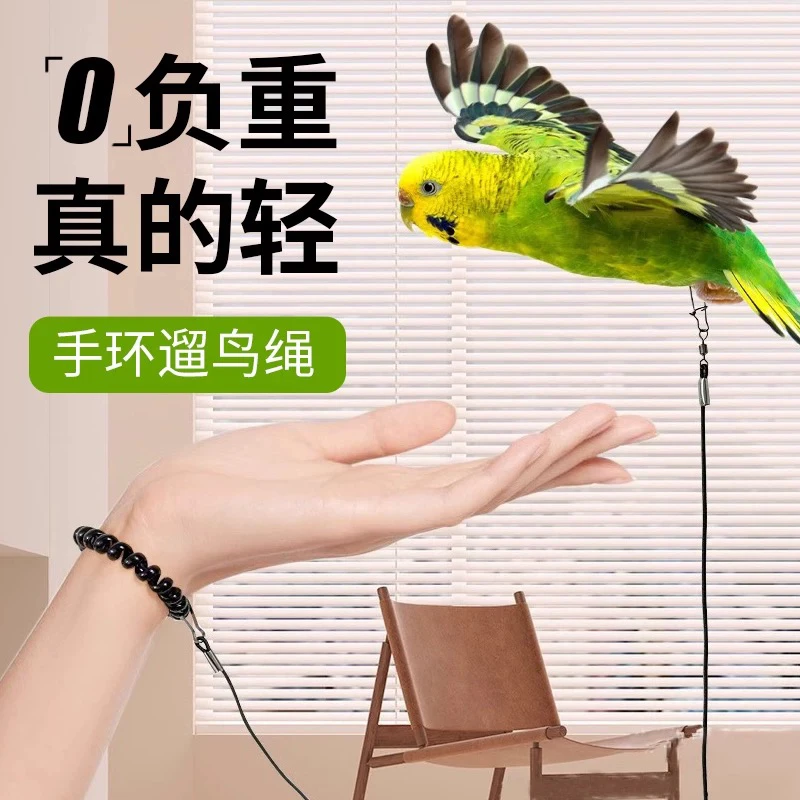 超轻鹦鹉放飞绳不伤脚环适合虎皮玄凤八哥遛鸟神器训练外出脚链